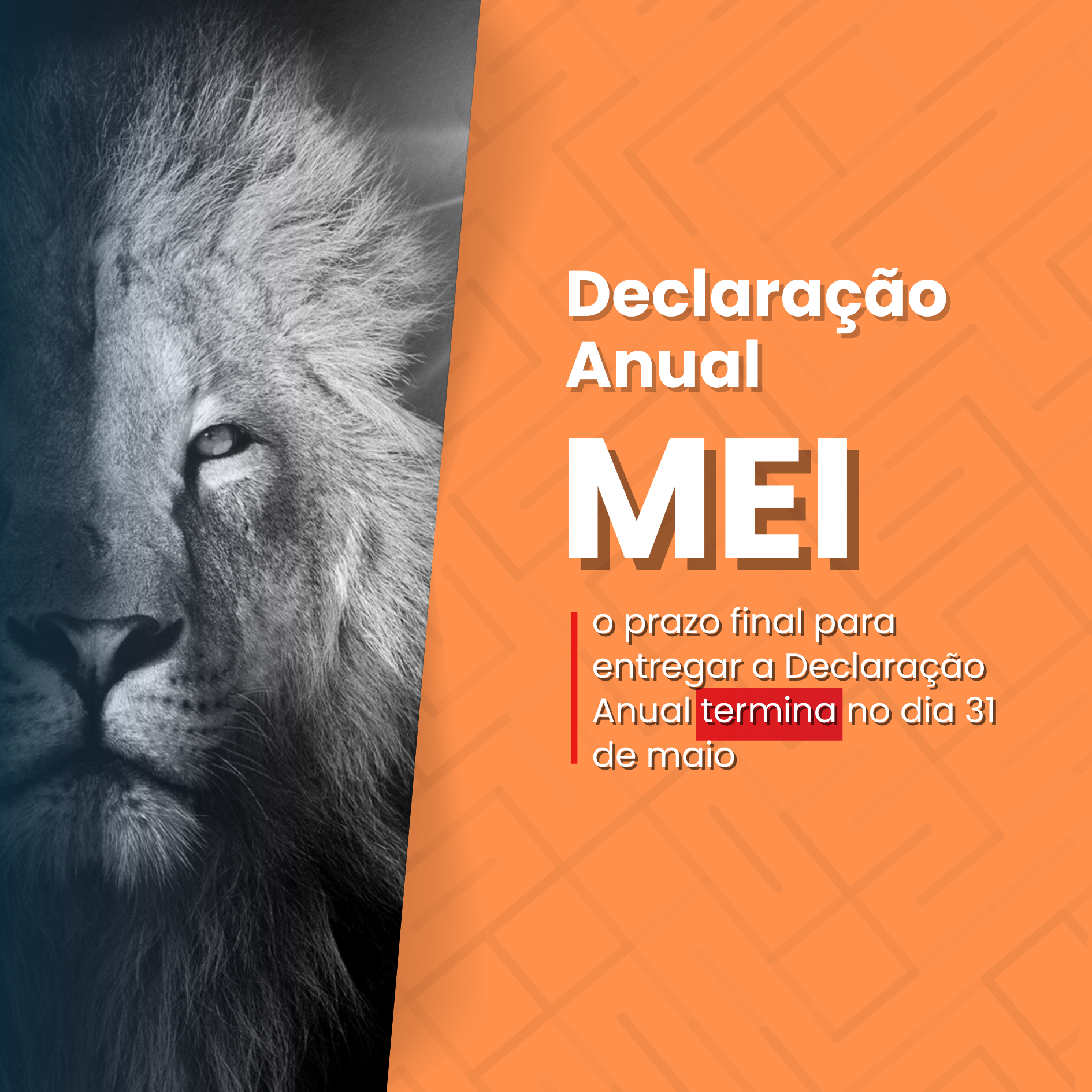 MEI, Atenção: Tá Chegando o Dia da Declaração Anual (DASN-Simei) 2025